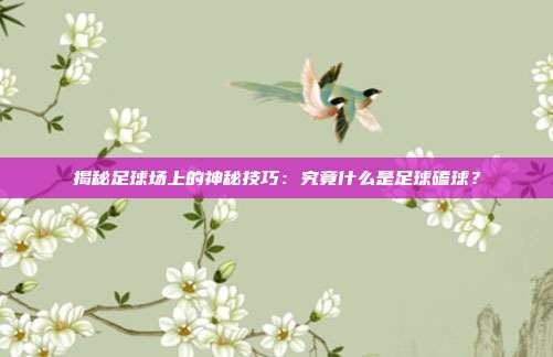 揭秘足球场上的神秘技巧:究竟什么是足球磕球?