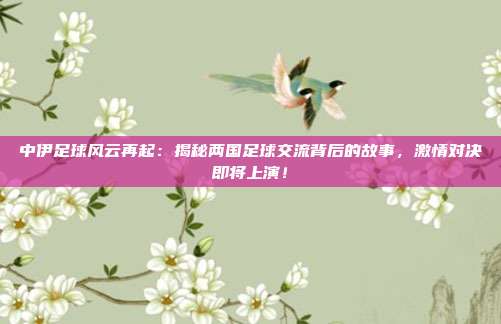 中伊足球风云再起：揭秘两国足球交流背后的故事，激情对决即将上演！