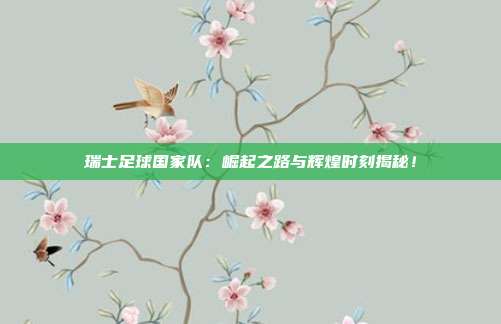 瑞士足球国家队：崛起之路与辉煌时刻揭秘！