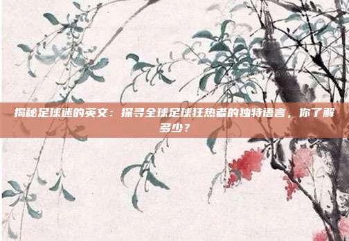 揭秘足球迷的英文：探寻全球足球狂热者的独特语言，你了解多少？