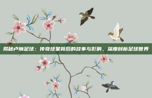揭秘卢琳足球：传奇球星背后的故事与影响，深度剖析足球世界