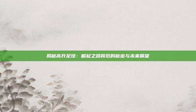 揭秘高升足球：崛起之路背后的秘密与未来展望