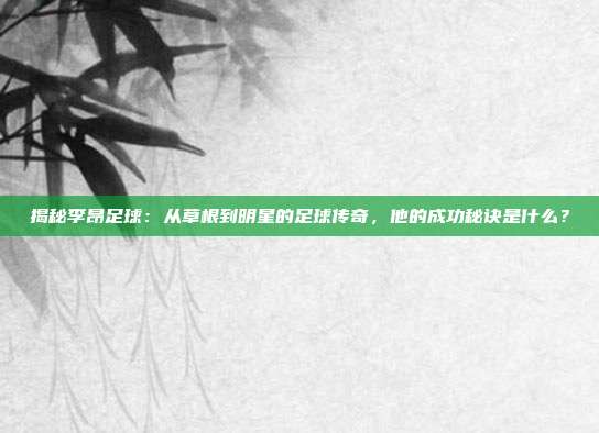 揭秘李昂足球:从草根到明星的足球传奇,他的成功秘诀是什么?