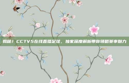 揭秘！CCTV5在线直播足球，独家深度解析带你领略赛事魅力