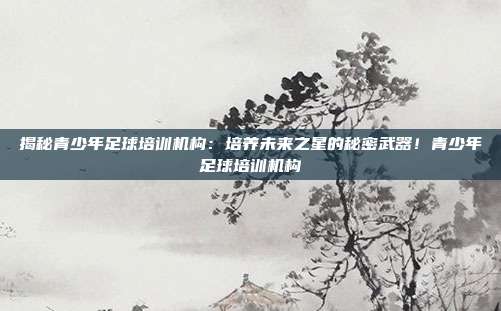 揭秘青少年足球培训机构：培养未来之星的秘密武器！青少年足球培训机构
