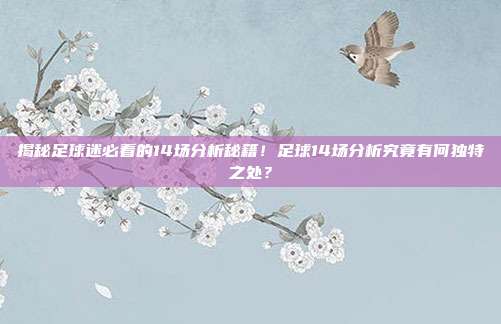 揭秘足球迷必看的14场分析秘籍!足球14场分析究竟有何独特之处?