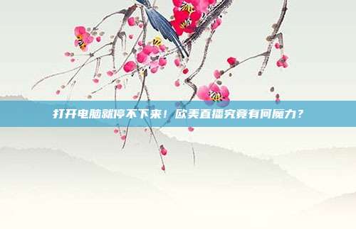 打开电脑就停不下来！欧美直播究竟有何魔力？