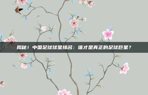 揭秘！中国足球球星排名：谁才是真正的足球巨星？