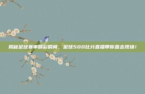 揭秘足球赛事精彩瞬间,足球500比分直播带你直击现场!