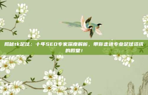揭秘tk足球:十年SEO专家深度解析,带你走进专业足球资讯的殿堂!