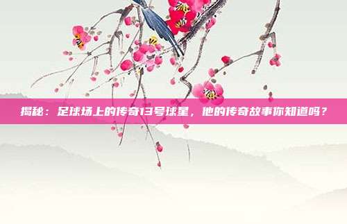 揭秘:足球场上的传奇13号球星,他的传奇故事你知道吗?