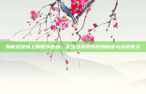 揭秘足球场上的数字密码：足球球员号背后的秘密与战术意义