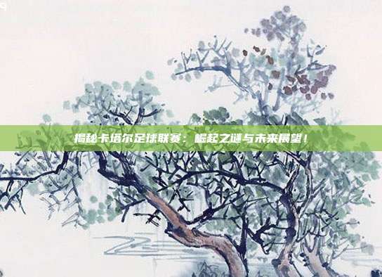 揭秘卡塔尔足球联赛：崛起之谜与未来展望！
