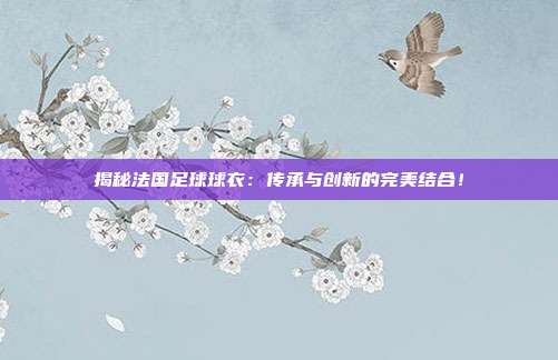 揭秘法国足球球衣：传承与创新的完美结合！