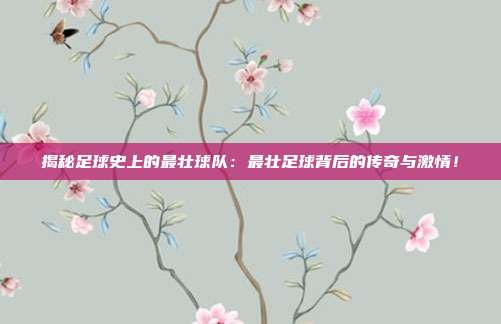 揭秘足球史上的最壮球队：最壮足球背后的传奇与激情！