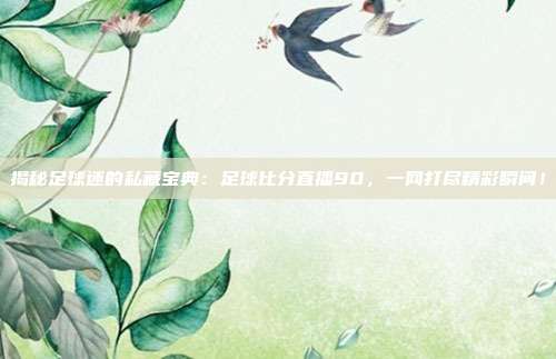 揭秘足球迷的私藏宝典：足球比分直播90，一网打尽精彩瞬间！