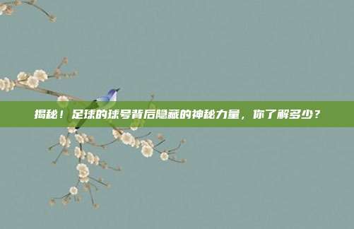 揭秘!足球的球号背后隐藏的神秘力量,你了解多少?