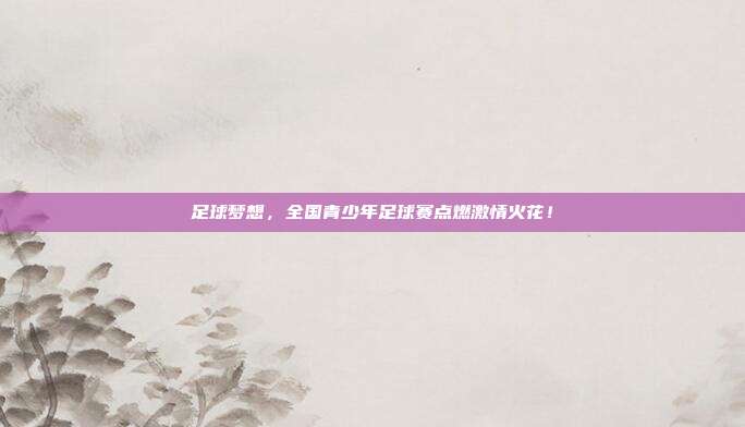 足球梦想,全国青少年足球赛点燃激情火花!