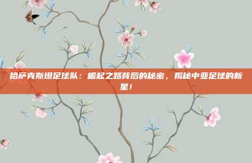 哈萨克斯坦足球队：崛起之路背后的秘密，揭秘中亚足球的新星！