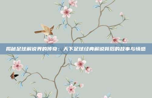 揭秘足球解说界的传奇：天下足球经典解说背后的故事与情感