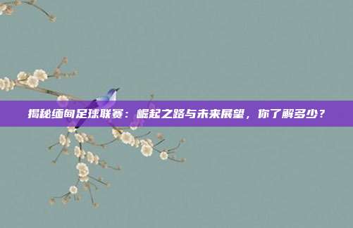 揭秘缅甸足球联赛：崛起之路与未来展望，你了解多少？
