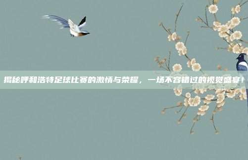揭秘呼和浩特足球比赛的激情与荣耀,一场不容错过的视觉盛宴!