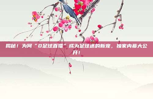揭秘!为何“0足球直播”成为足球迷的新宠,独家内幕大公开!