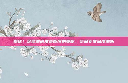 揭秘!足球解说术语背后的奥秘,资深专家深度解析