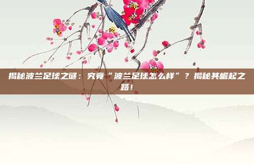 揭秘波兰足球之谜：究竟“波兰足球怎么样”？揭秘其崛起之路！