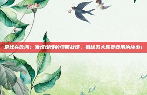 足球在欧洲：激情燃烧的绿茵战场，揭秘五大联赛背后的故事！