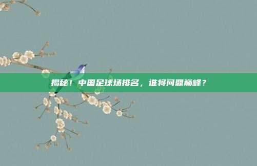 揭秘!中国足球场排名,谁将问鼎巅峰?