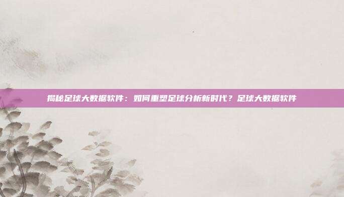 揭秘足球大数据软件:如何重塑足球分析新时代?足球大数据软件