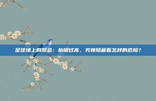 足球场上的禁忌：抬脚过高，究竟隐藏着怎样的危险？