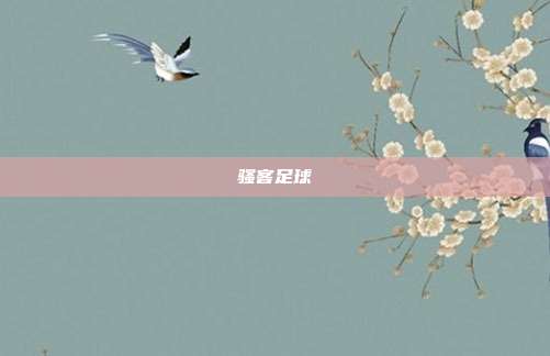 骚客足球