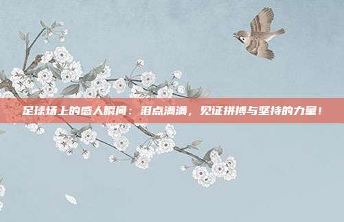 足球场上的感人瞬间：泪点满满，见证拼搏与坚持的力量！