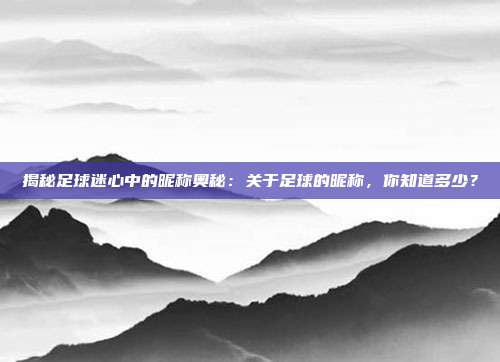 揭秘足球迷心中的昵称奥秘:关于足球的昵称,你知道多少?