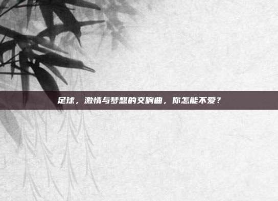 足球，激情与梦想的交响曲，你怎能不爱？