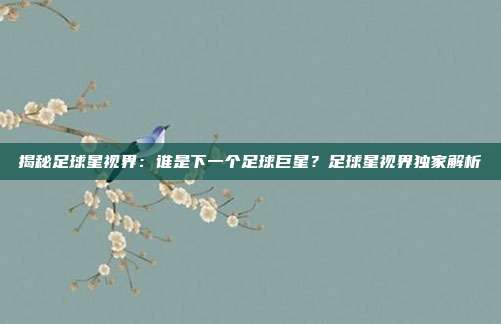 揭秘足球星视界：谁是下一个足球巨星？足球星视界独家解析
