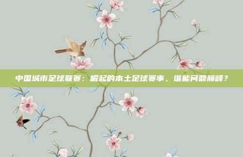 中国城市足球联赛:崛起的本土足球赛事,谁能问鼎巅峰?