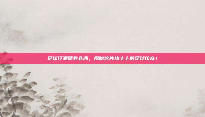 足球狂潮席卷非洲,揭秘这片热土上的足球传奇!