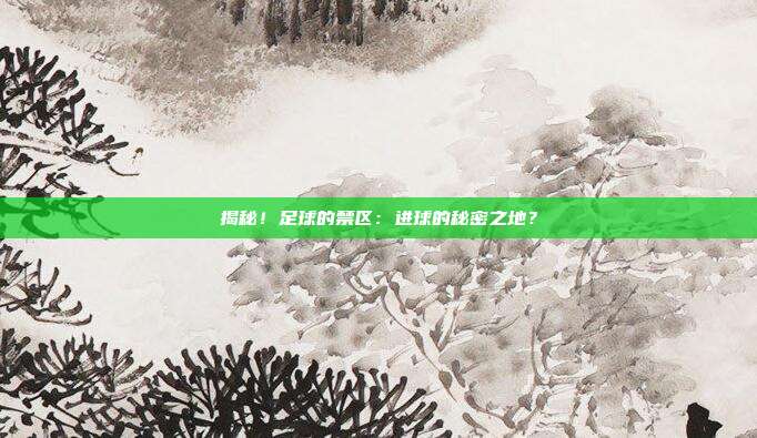 揭秘！足球的禁区：进球的秘密之地？