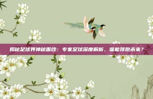 揭秘足球界神秘面纱：专家足球深度解析，谁能领跑未来？