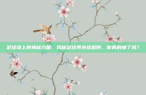 足球场上的神秘力量：揭秘足球界外球规则，你真的懂了吗？