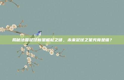 揭秘法国足球新星崛起之谜，未来足球之星究竟是谁？