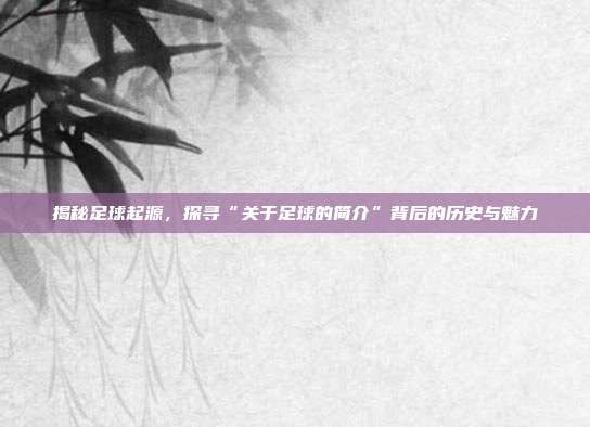 揭秘足球起源，探寻“关于足球的简介”背后的历史与魅力