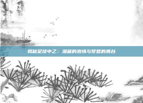 揭秘足球中乙：潜藏的激情与梦想的舞台
