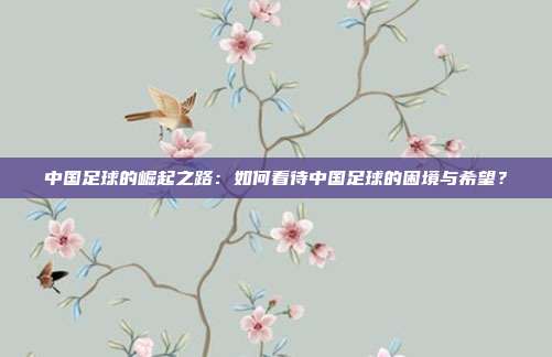 中国足球的崛起之路：如何看待中国足球的困境与希望？