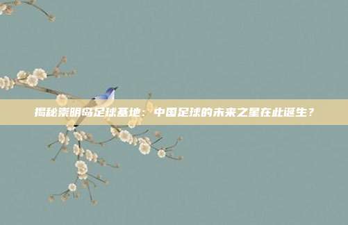 揭秘崇明岛足球基地：中国足球的未来之星在此诞生？