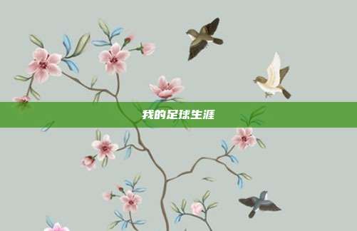 我的足球生涯