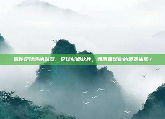揭秘足球迷的利器：足球新闻软件，如何重塑你的观赛体验？